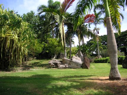 Hawaii Scene Hawaii Scene